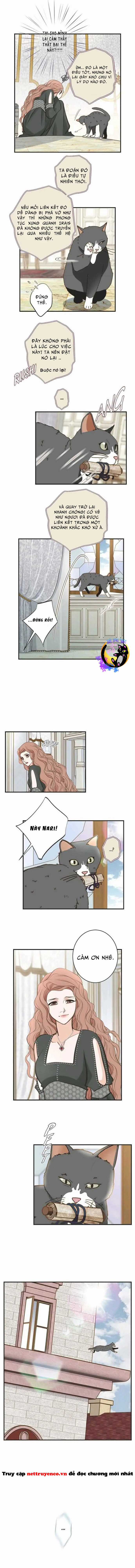 CUỘC HÔN NHÂN SỐNG CÒN - Chapter 31 - Trang 6