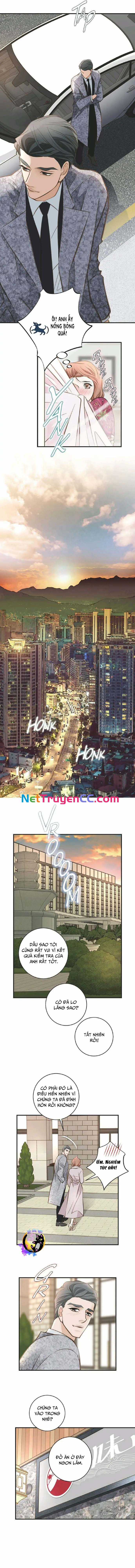 CUỘC HÔN NHÂN SỐNG CÒN - Chapter 36 - Trang 2