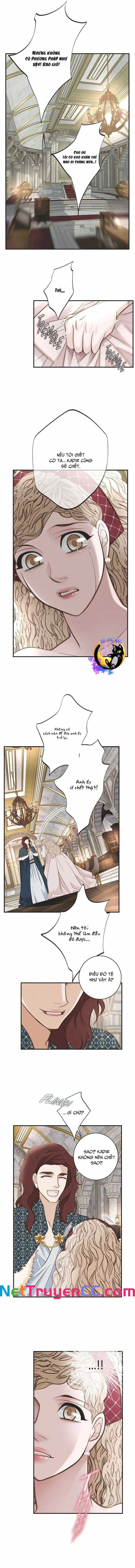 CUỘC HÔN NHÂN SỐNG CÒN - Chapter 40 - Trang 3