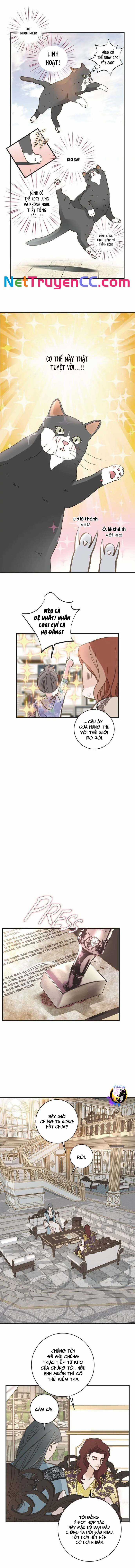 CUỘC HÔN NHÂN SỐNG CÒN - Chapter 44 - Trang 3