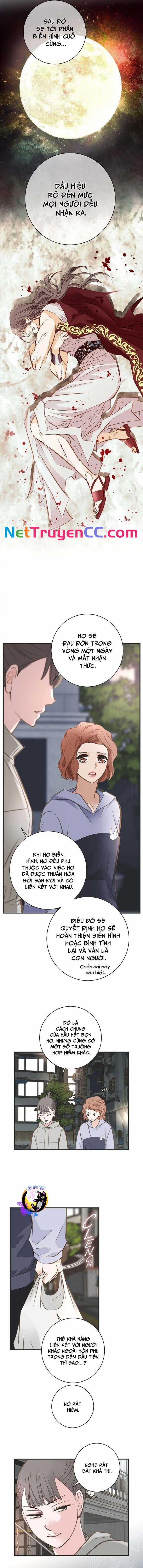 CUỘC HÔN NHÂN SỐNG CÒN - Chapter 44 - Trang 9