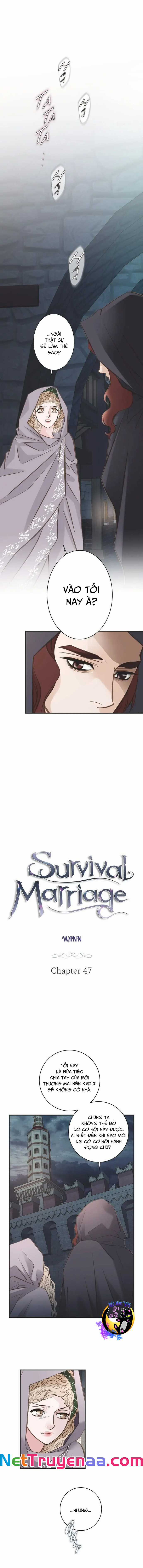 CUỘC HÔN NHÂN SỐNG CÒN - Chapter 47 - Trang 1