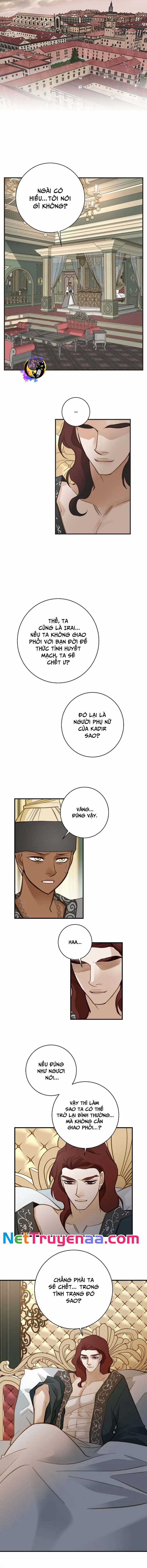 CUỘC HÔN NHÂN SỐNG CÒN - Chapter 55 - Trang 3