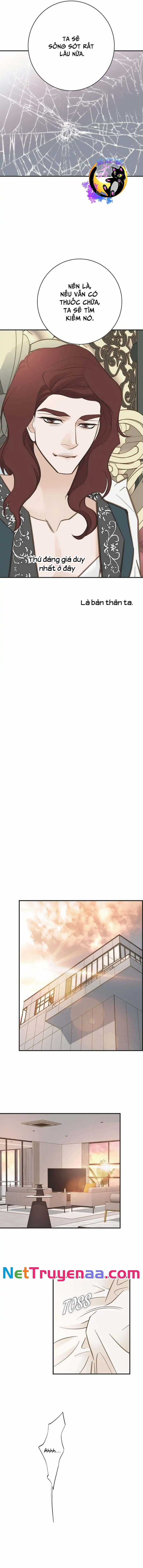 CUỘC HÔN NHÂN SỐNG CÒN - Chapter 55 - Trang 9