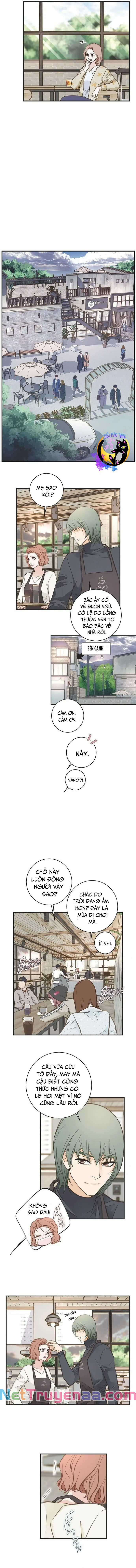 CUỘC HÔN NHÂN SỐNG CÒN - Chapter 59 - Trang 7