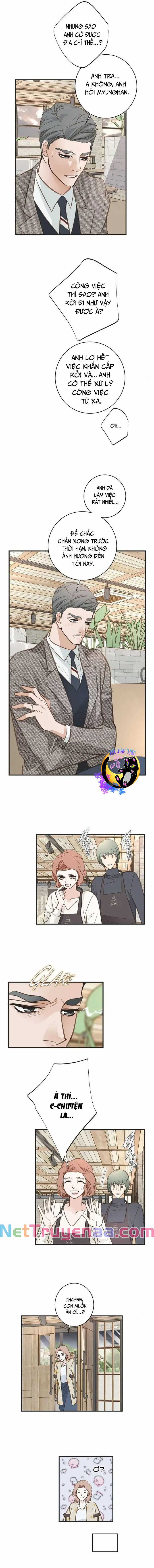 CUỘC HÔN NHÂN SỐNG CÒN - Chapter 59 - Trang 10