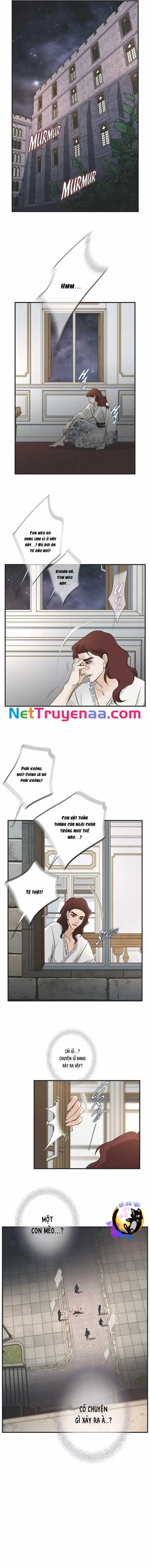 CUỘC HÔN NHÂN SỐNG CÒN - Chapter 66 - Trang 2