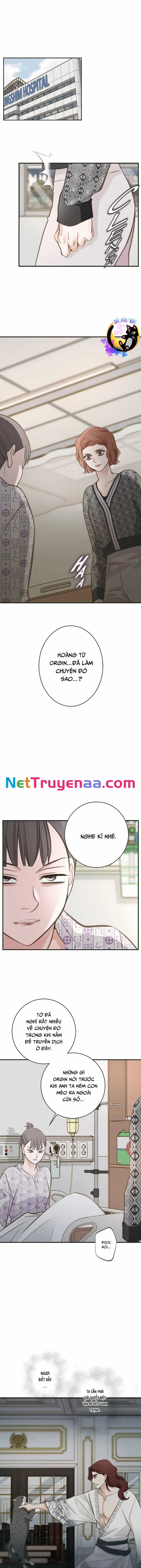 CUỘC HÔN NHÂN SỐNG CÒN - Chapter 66 - Trang 11