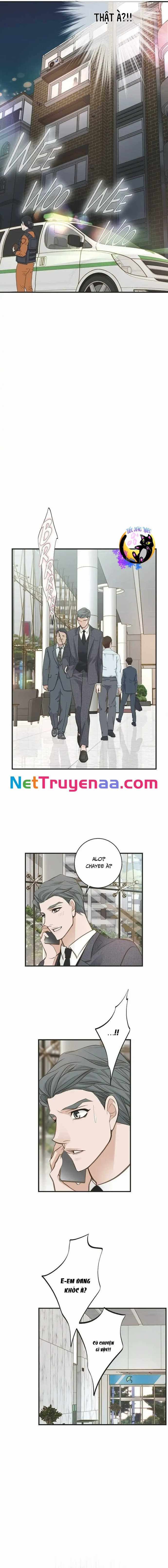 CUỘC HÔN NHÂN SỐNG CÒN - Chapter 66 - Trang 5