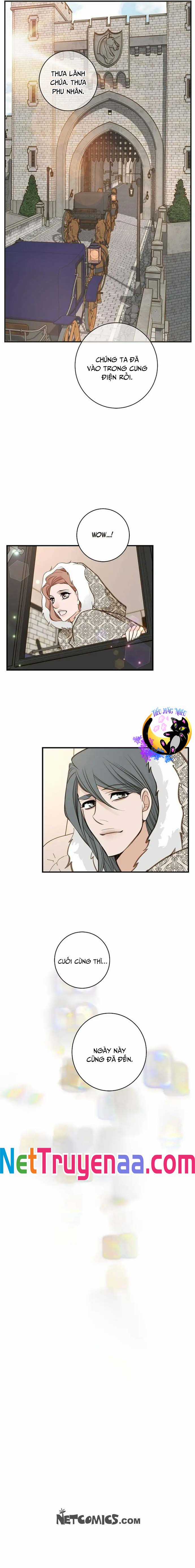 CUỘC HÔN NHÂN SỐNG CÒN - Chapter 67 - Trang 13