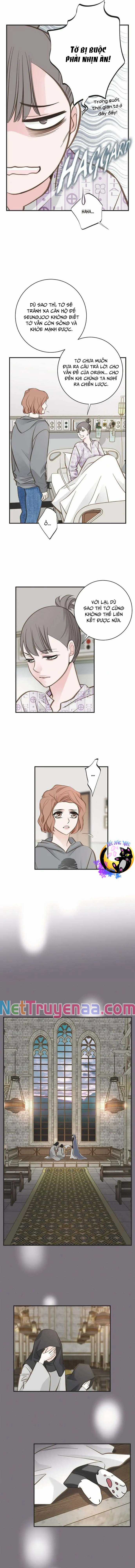 CUỘC HÔN NHÂN SỐNG CÒN - Chapter 67 - Trang 4