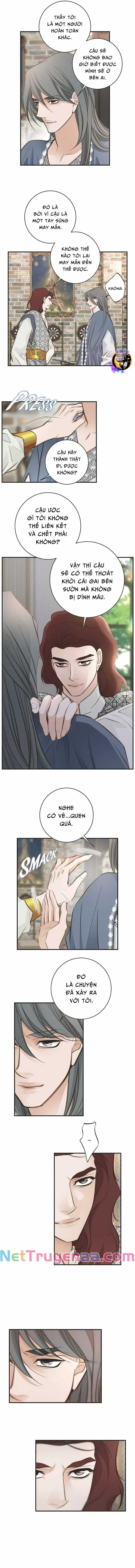 CUỘC HÔN NHÂN SỐNG CÒN - Chapter 69 - Trang 4