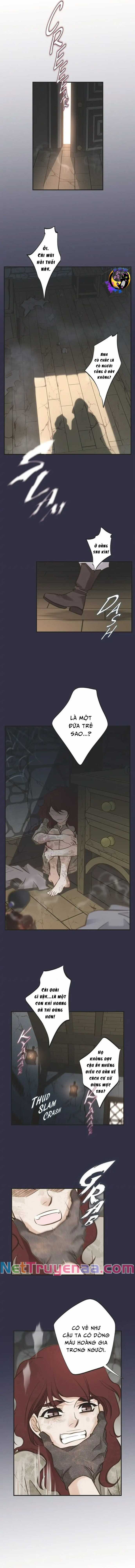 CUỘC HÔN NHÂN SỐNG CÒN - Chapter 69 - Trang 7