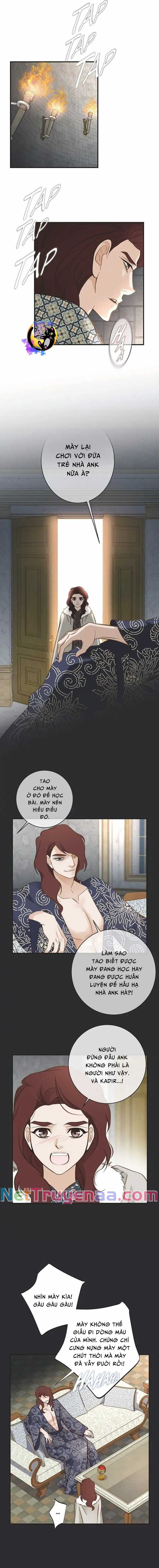 CUỘC HÔN NHÂN SỐNG CÒN - Chapter 71 - Trang 4