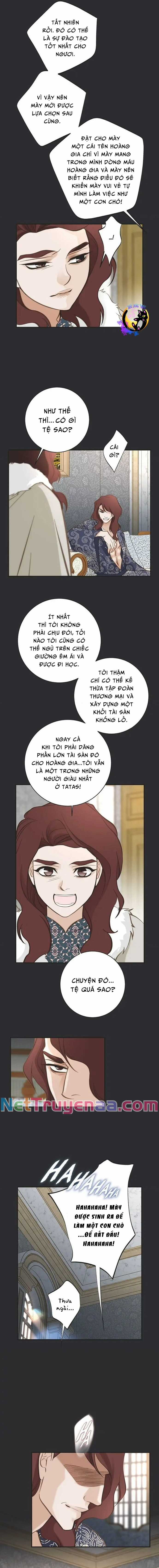 CUỘC HÔN NHÂN SỐNG CÒN - Chapter 71 - Trang 5