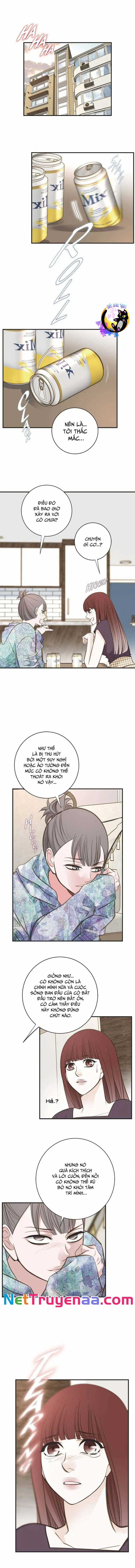 CUỘC HÔN NHÂN SỐNG CÒN - Chapter 72 - Trang 3