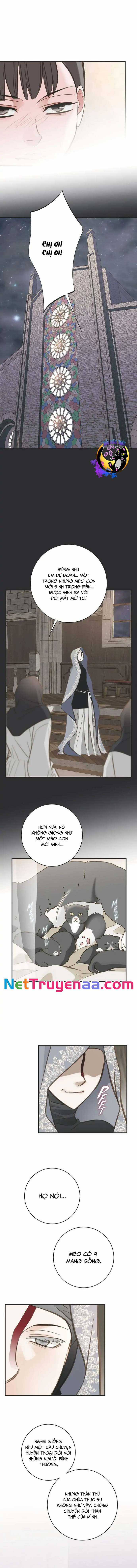 CUỘC HÔN NHÂN SỐNG CÒN - Chapter 72 - Trang 6