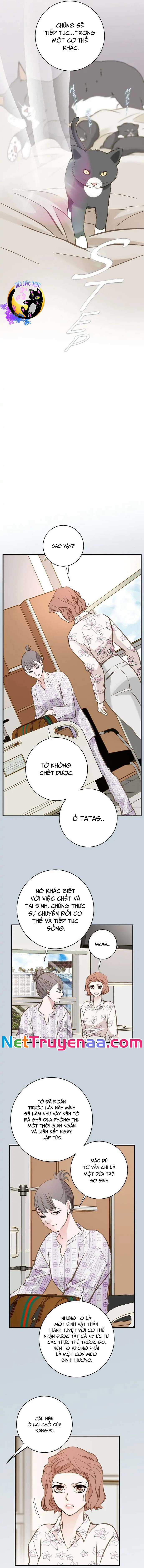 CUỘC HÔN NHÂN SỐNG CÒN - Chapter 72 - Trang 7