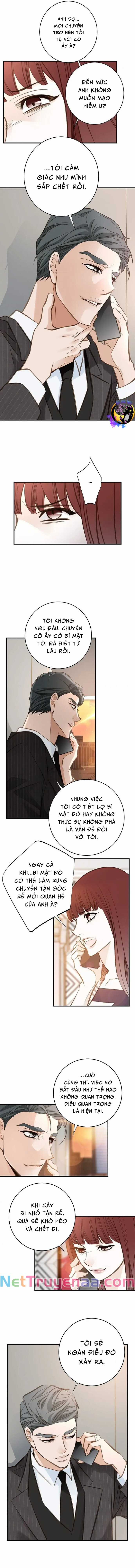 CUỘC HÔN NHÂN SỐNG CÒN - Chapter 75 - Trang 5