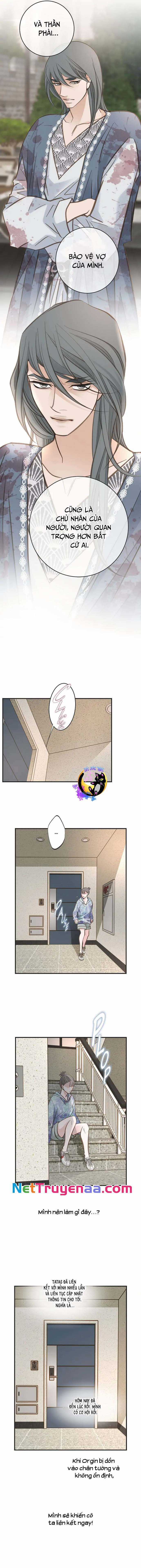 CUỘC HÔN NHÂN SỐNG CÒN - Chapter 77 - Trang 8