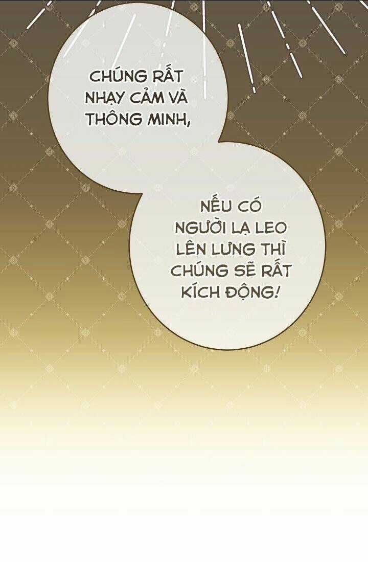 Cuộc Hôn Nhân Vụ Lợi - Chapter 14 - Trang 56