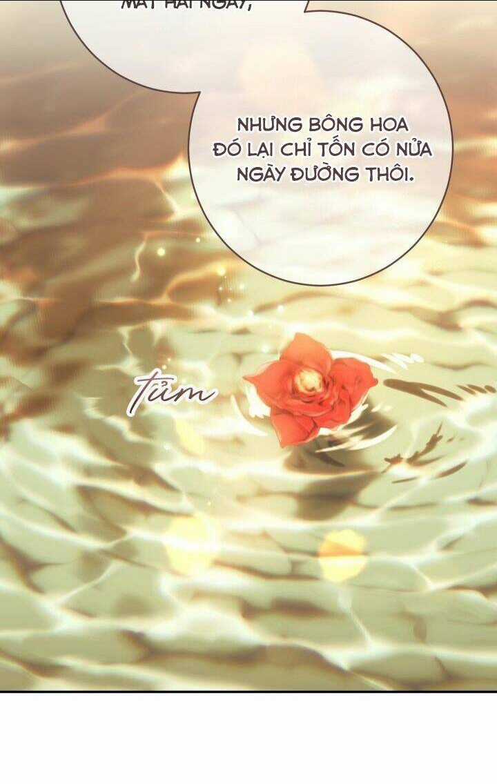 Cuộc Hôn Nhân Vụ Lợi - Chapter 22 - Trang 7