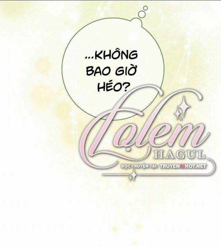 Cuộc Hôn Nhân Vụ Lợi - Chapter 23 - Trang 116