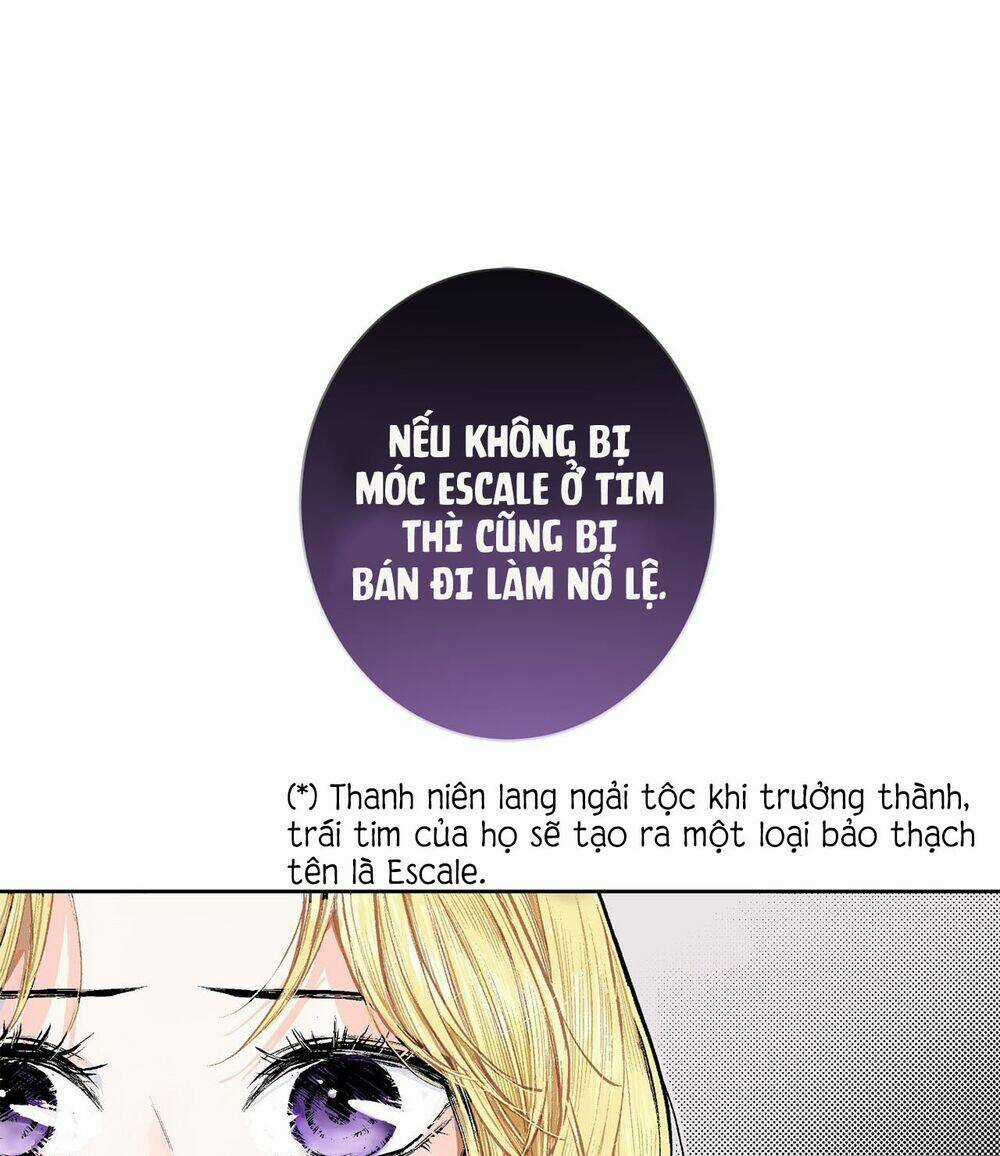 Cuộc Phản Công Của Nàng Hầu - Chapter 3 - Trang 24