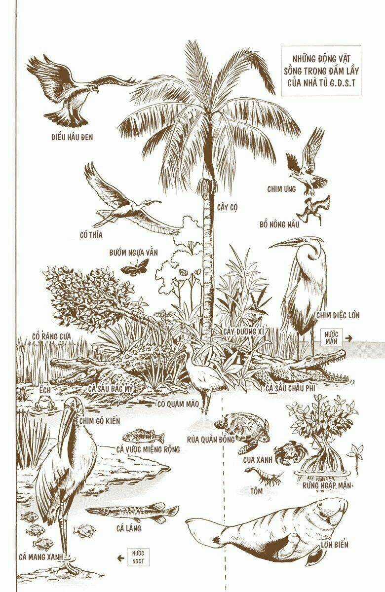 Cuộc Phiêu Lưu Bí Ẩn - Chapter 678 - Trang 21