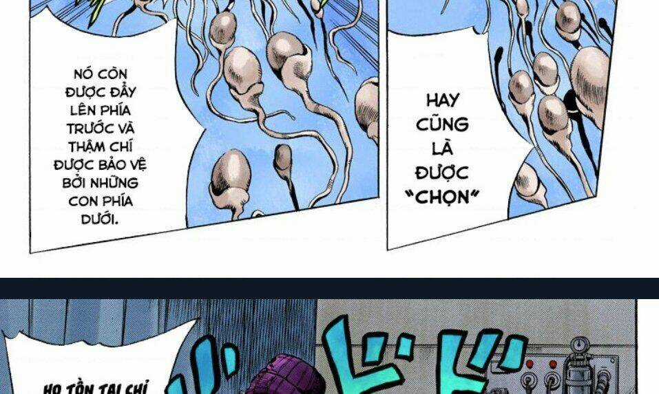 Cuộc Phiêu Lưu Bí Ẩn - Chapter 705 - Trang 41