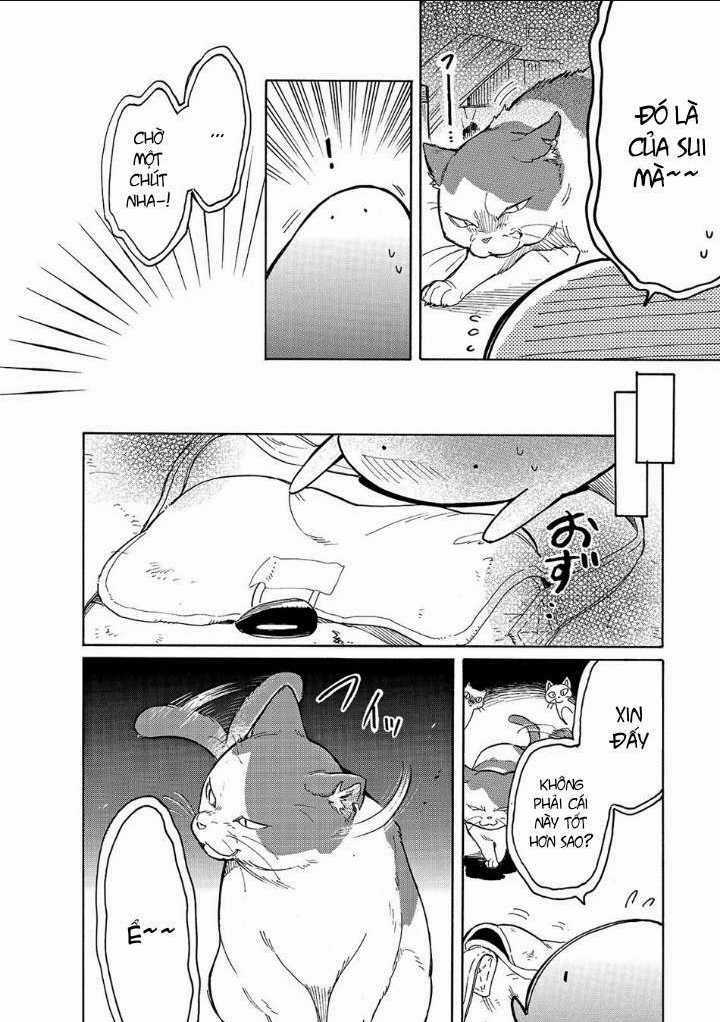 Cuộc Phiêu Lưu Của Bé Sui - Chapter 23 - Trang 10