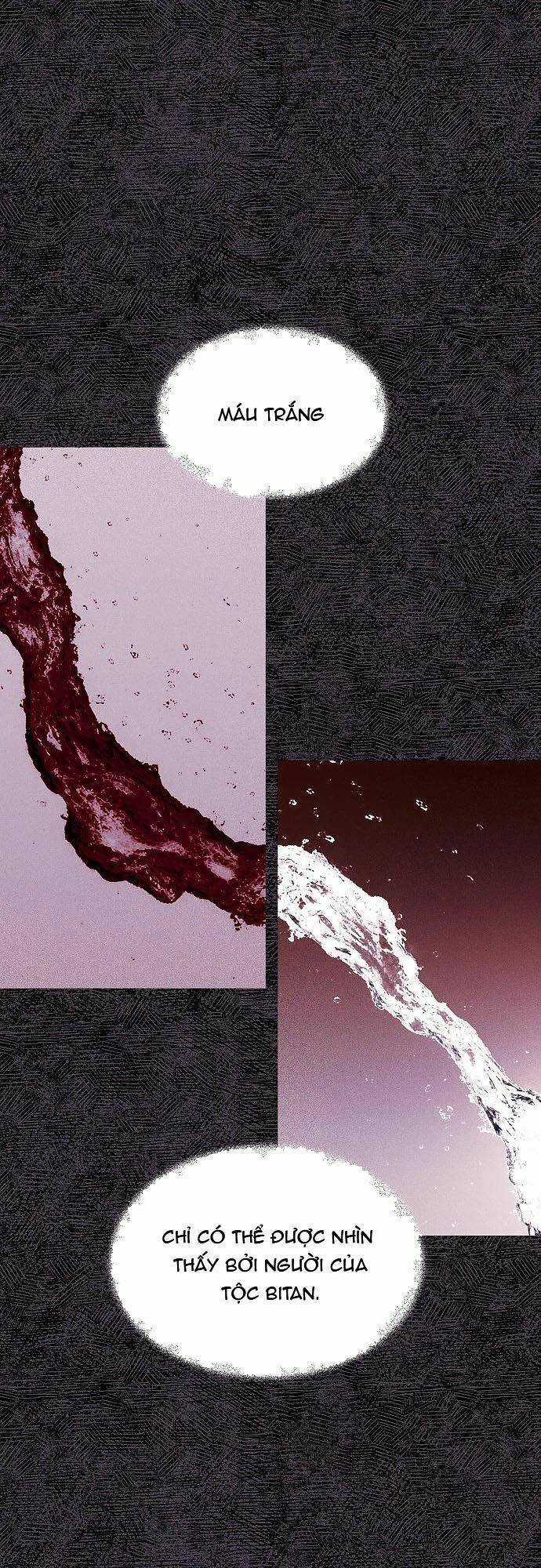 Cuộc Săn Nữ Hoàng - Chapter 27 - Trang 29
