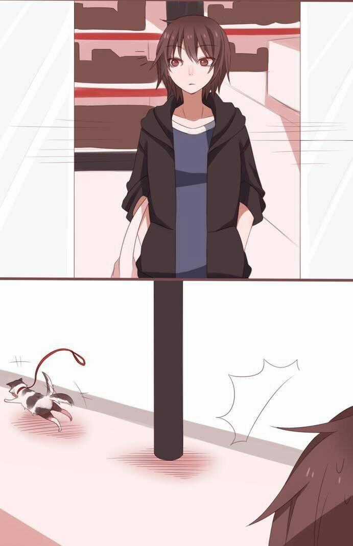 Cuộc Sống Đời Thường Của Spring Và Roll - Chapter 2 - Trang 2