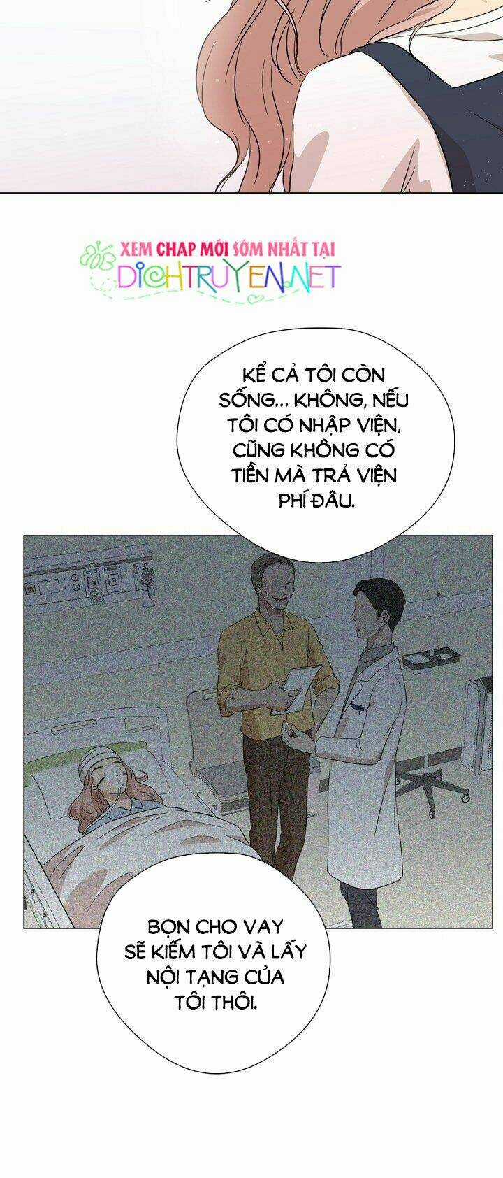 Cuộc Sống Kỳ Thú - Chapter 1 - Trang 29