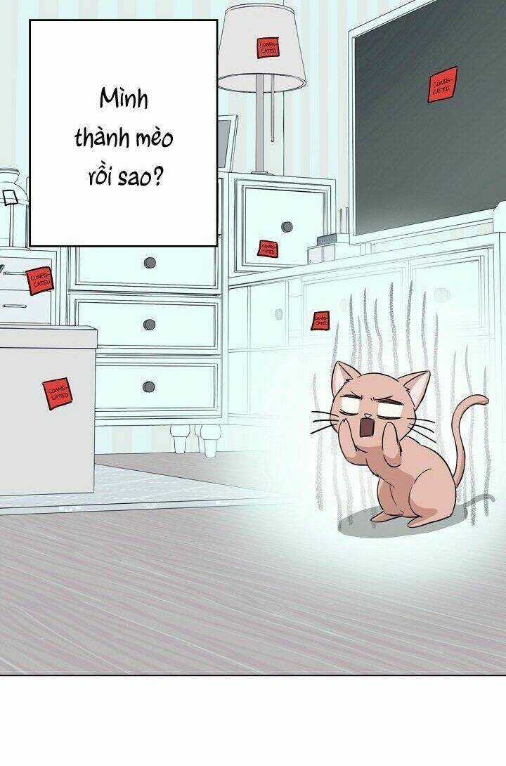 Cuộc Sống Kỳ Thú - Chapter 1 - Trang 44