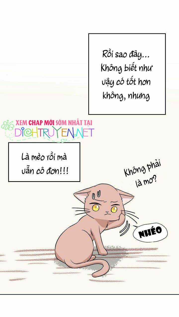 Cuộc Sống Kỳ Thú - Chapter 1 - Trang 45