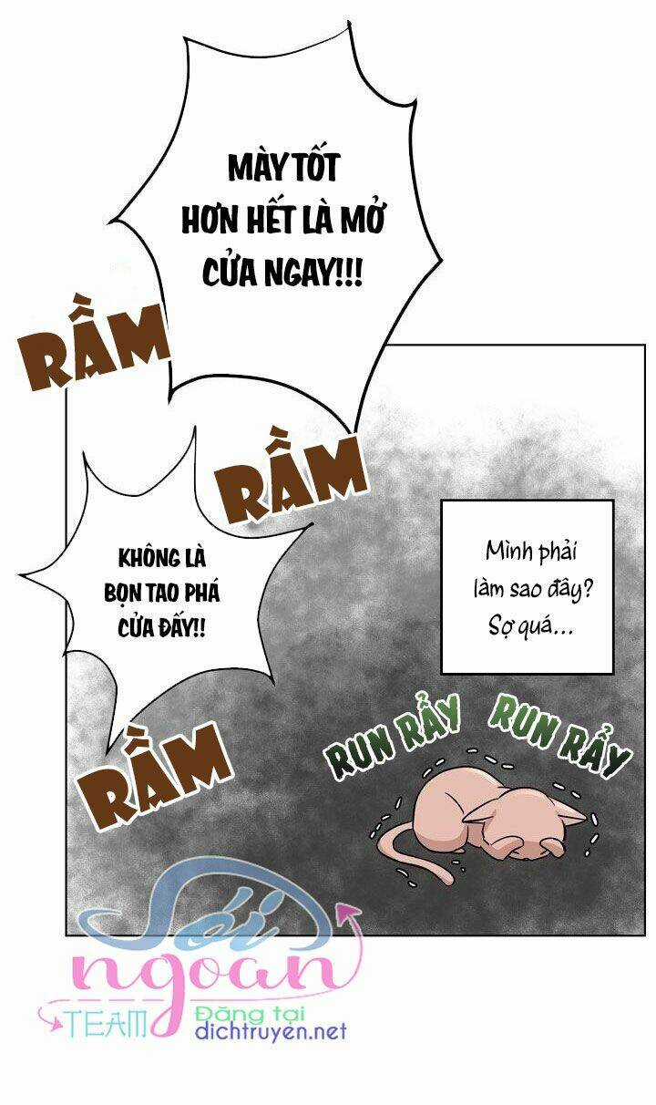 Cuộc Sống Kỳ Thú - Chapter 1 - Trang 49