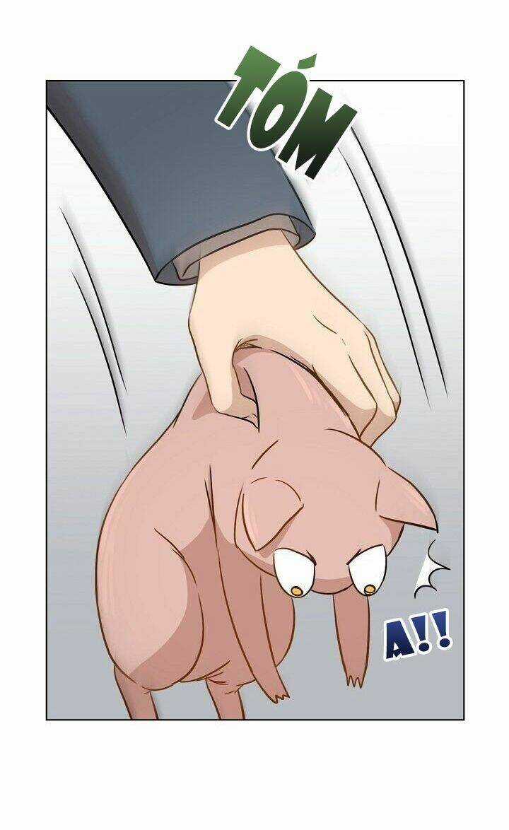 Cuộc Sống Kỳ Thú - Chapter 1 - Trang 56