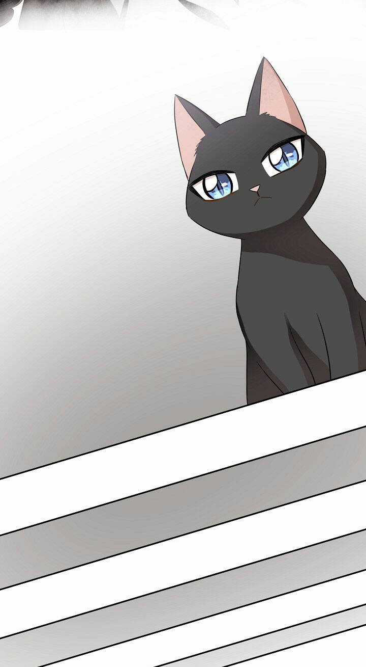 Cuộc Sống Kỳ Thú - Chapter 100 - Trang 13