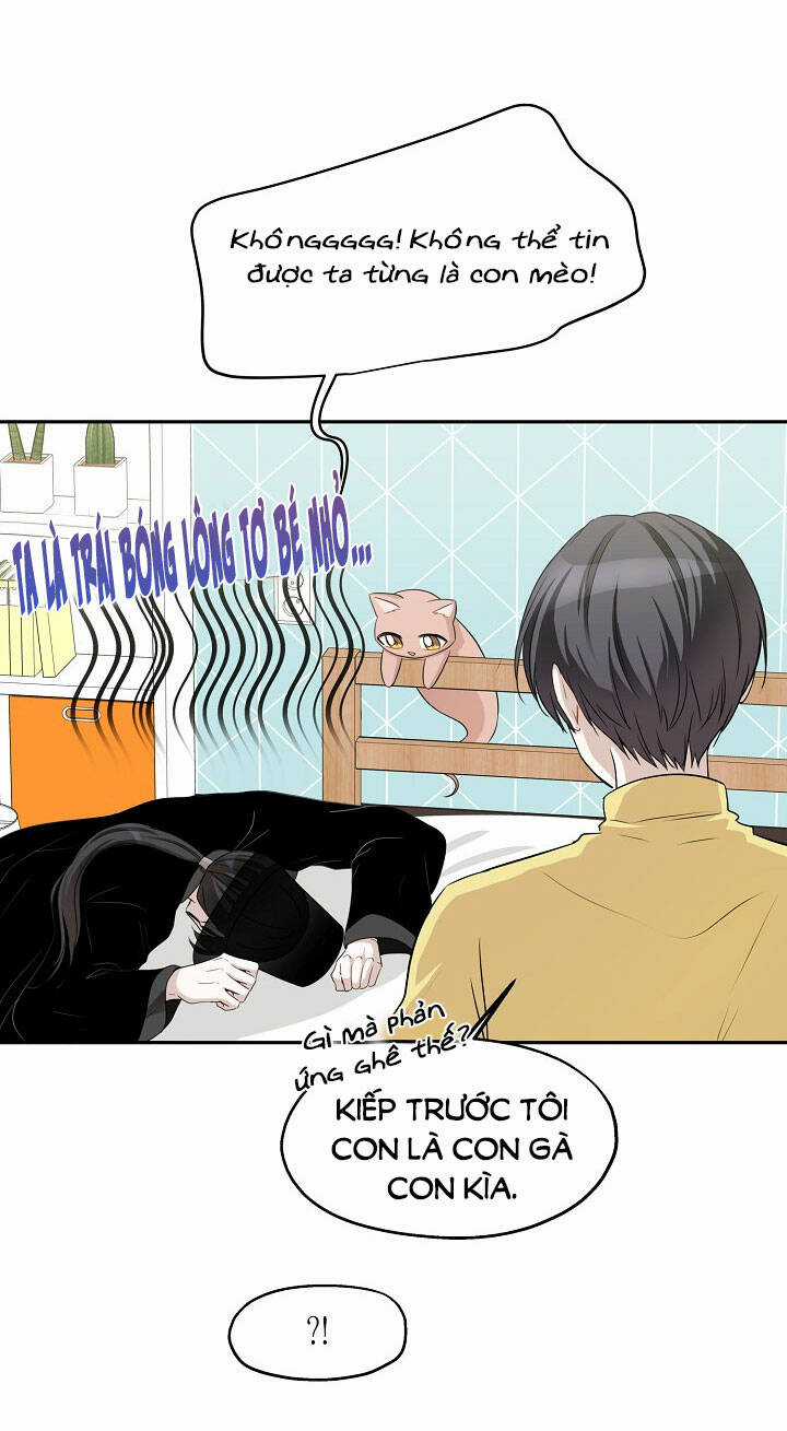 Cuộc Sống Kỳ Thú - Chapter 100 - Trang 17