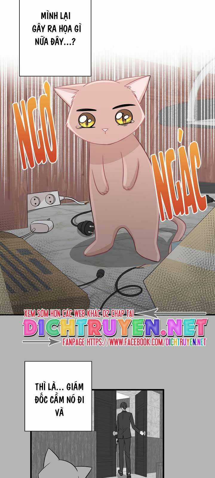Cuộc Sống Kỳ Thú - Chapter 11 - Trang 22