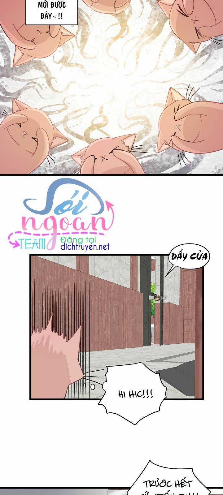Cuộc Sống Kỳ Thú - Chapter 11 - Trang 25