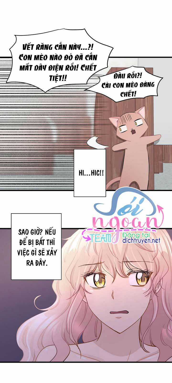 Cuộc Sống Kỳ Thú - Chapter 11 - Trang 29