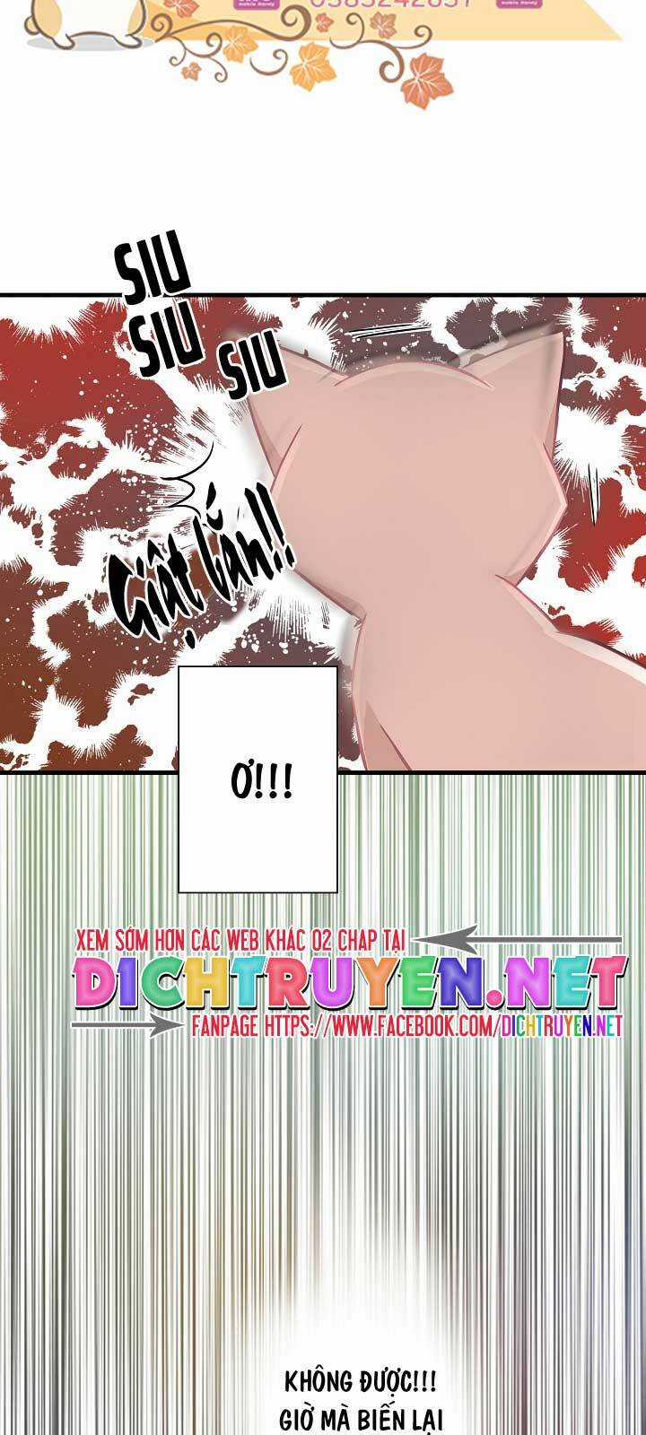 Cuộc Sống Kỳ Thú - Chapter 11 - Trang 36