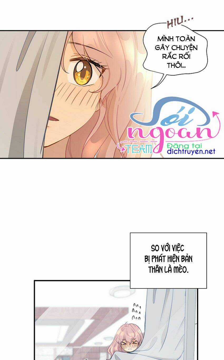 Cuộc Sống Kỳ Thú - Chapter 12 - Trang 2