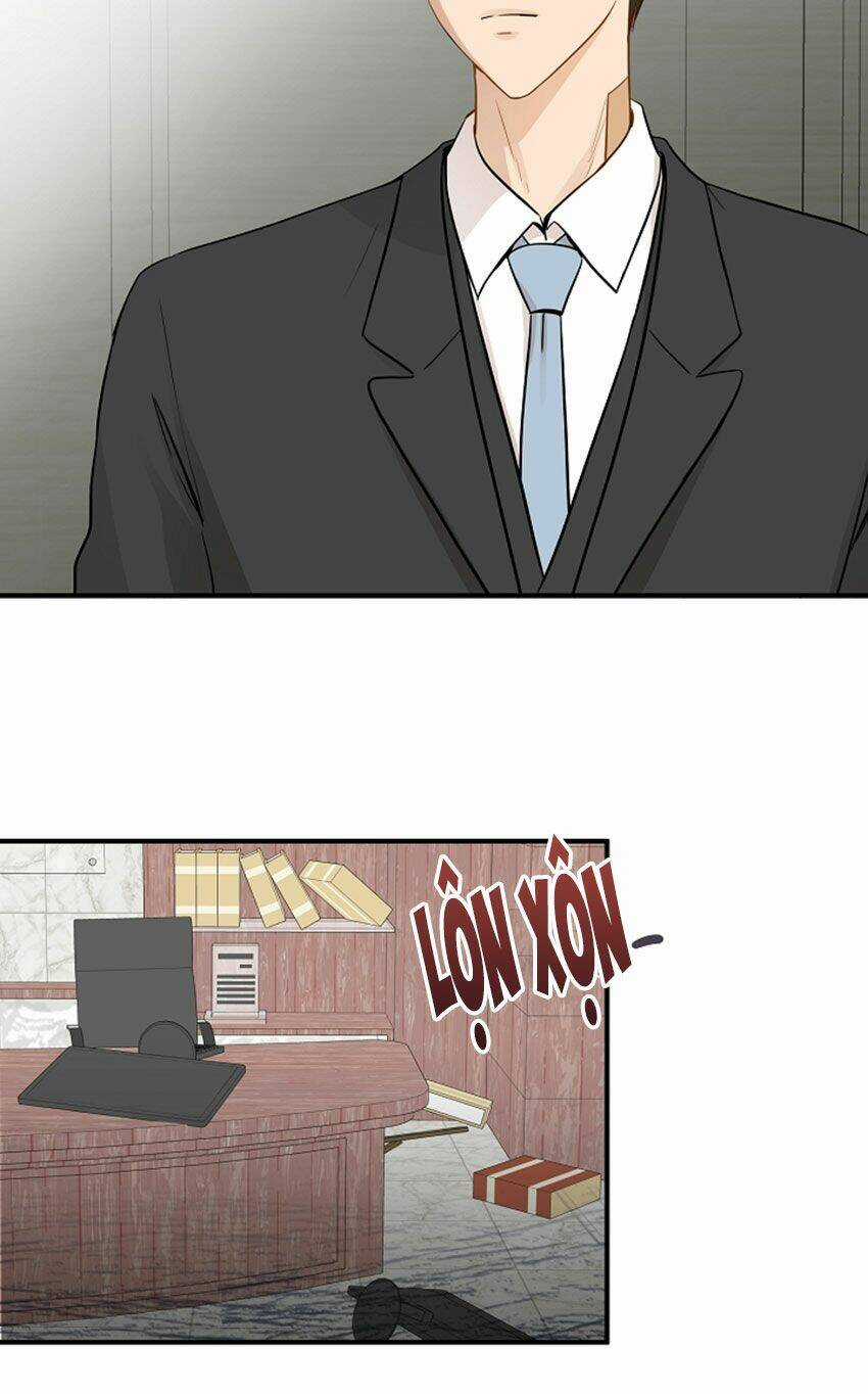 Cuộc Sống Kỳ Thú - Chapter 12 - Trang 19