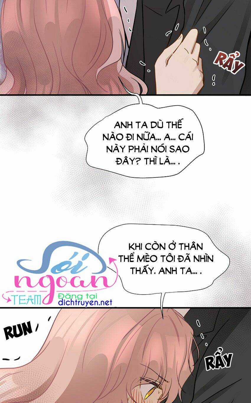 Cuộc Sống Kỳ Thú - Chapter 12 - Trang 29
