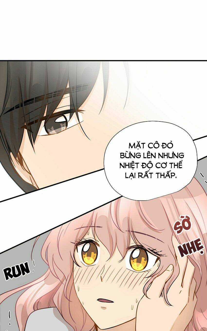 Cuộc Sống Kỳ Thú - Chapter 12 - Trang 33