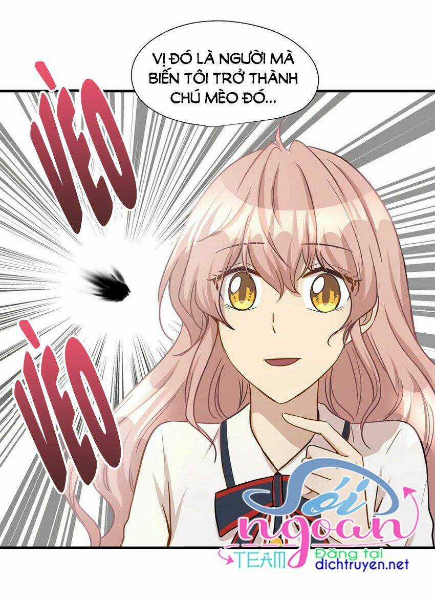 Cuộc Sống Kỳ Thú - Chapter 13 - Trang 45