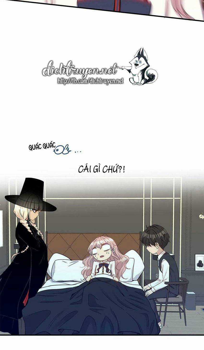Cuộc Sống Kỳ Thú - Chapter 14 - Trang 12